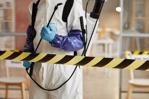 Professional Sewage Cleanup technician working in Carthage, IL